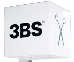 3BS®